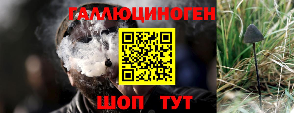 Галлюциногенные грибы MAGIC MUSHROOMS  где купить наркоту  Борзя  Вход с VPN 